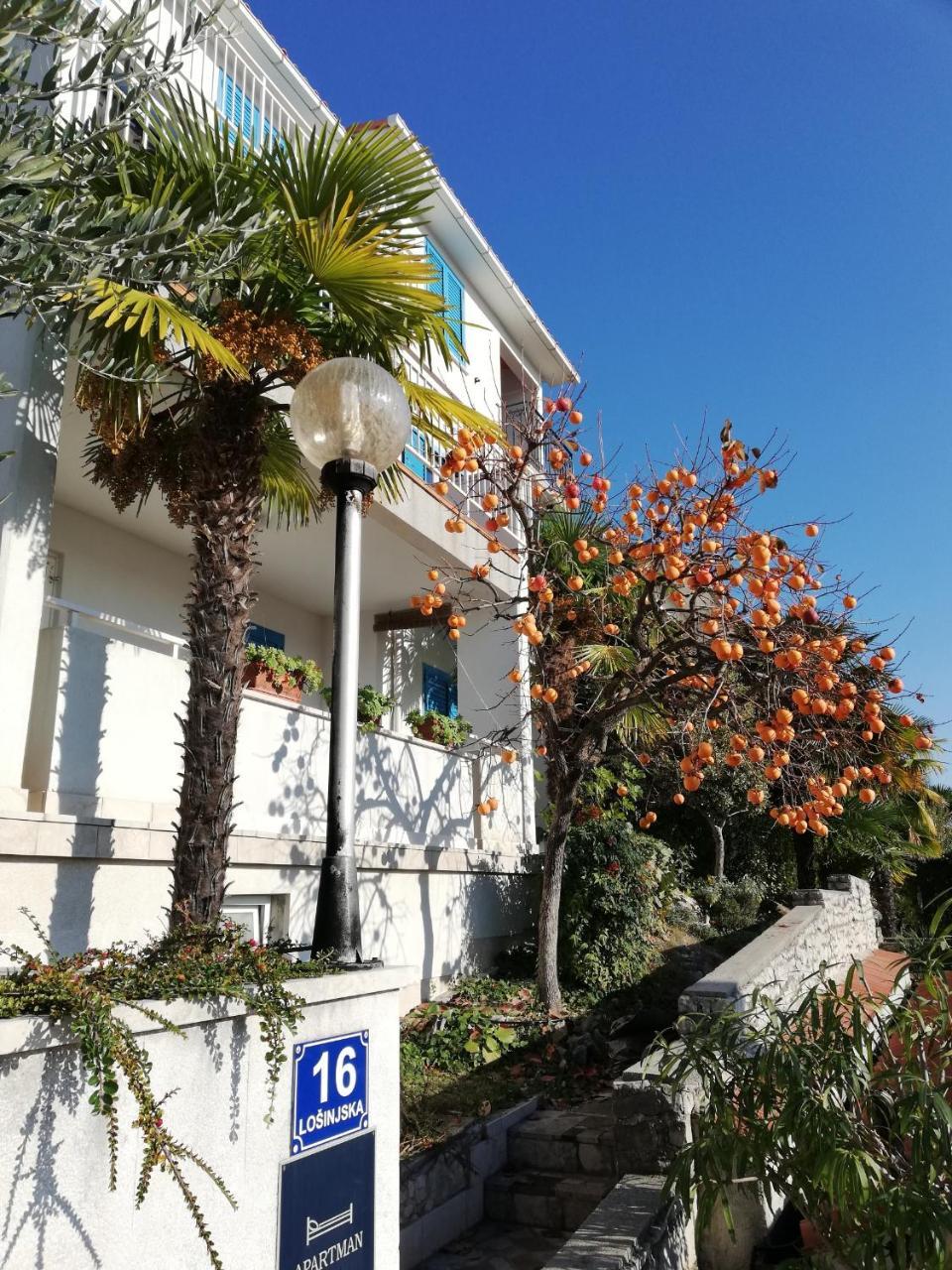 Mare Losinjska 16