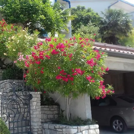 Apartments Mare Losinjska 16 Rabac Exterior foto