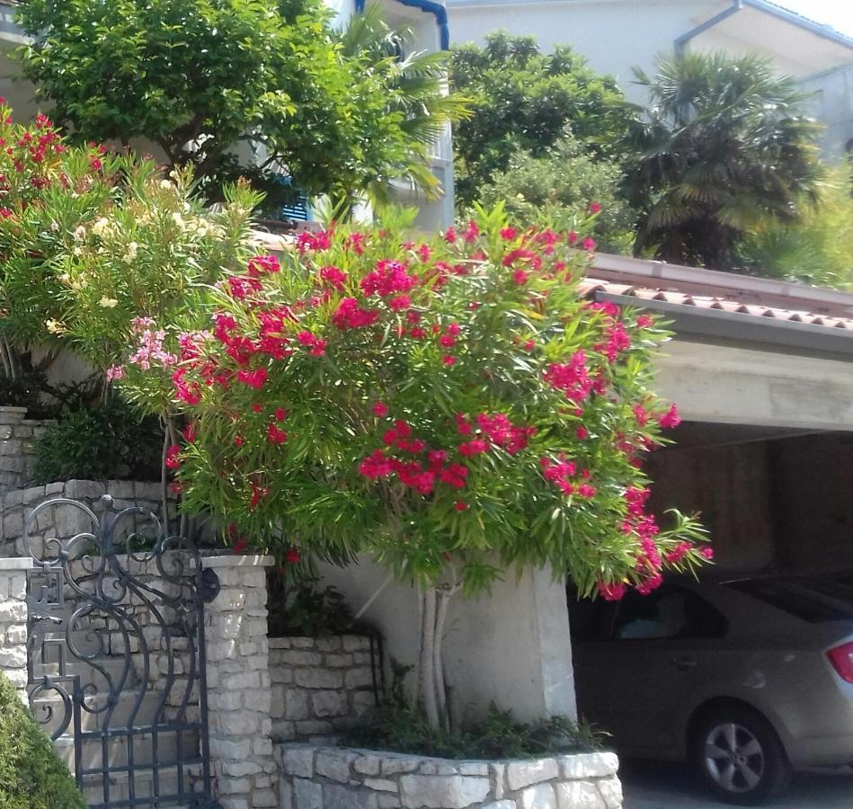 Mare Losinjska 16 Apartment