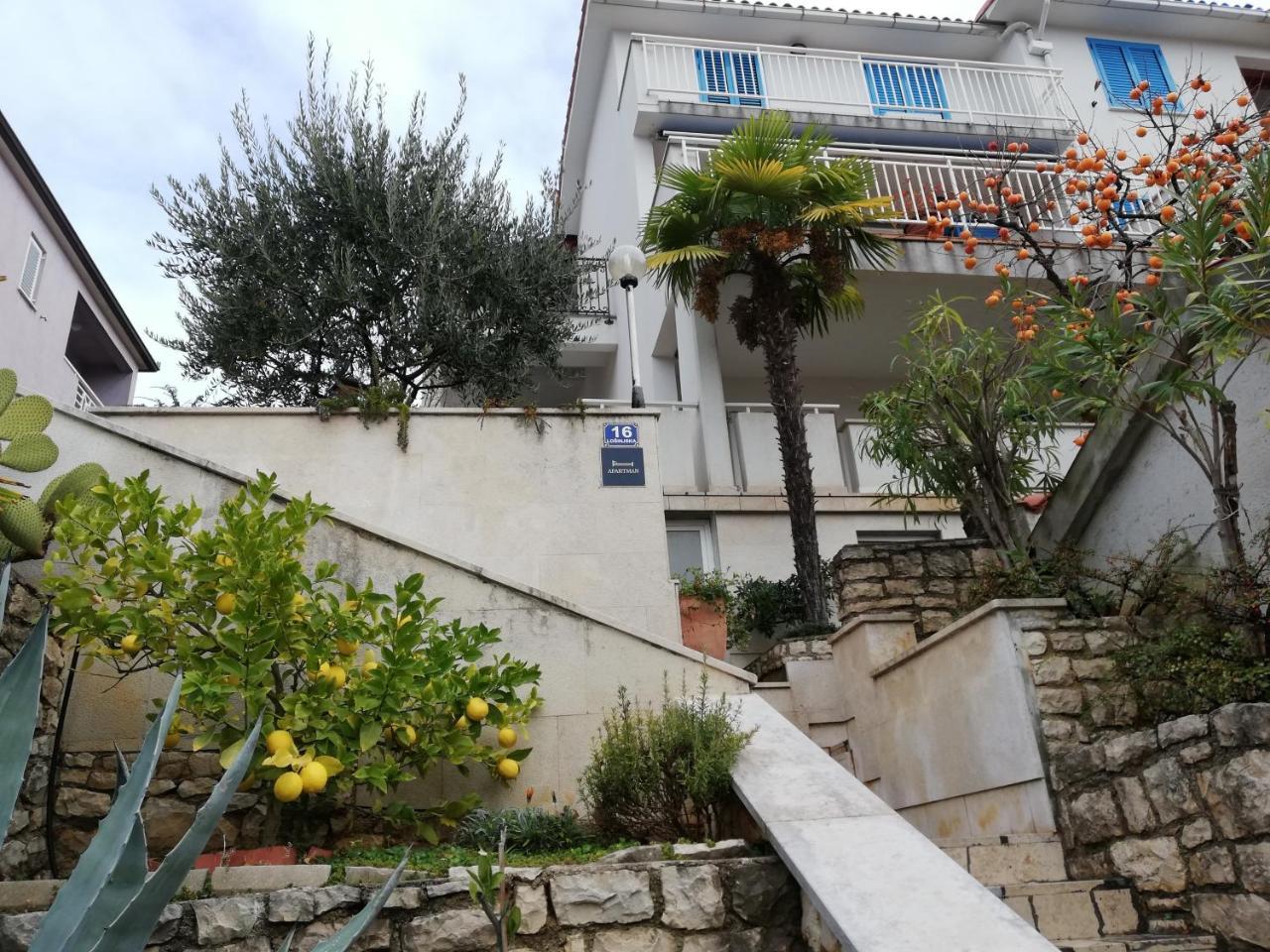 Mare Losinjska 16 Apartment *